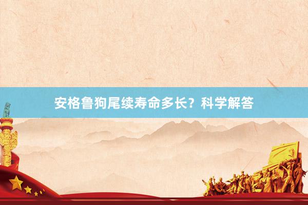 安格鲁狗尾续寿命多长？科学解答