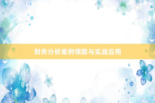 财务分析案例领路与实战应用
