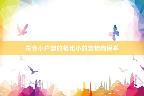 符合小户型的相比小的宠物狗保举